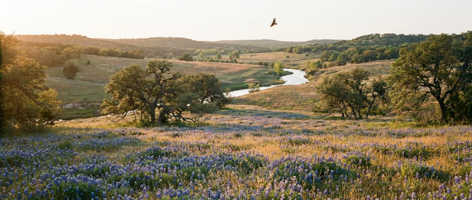 Peaceful Austin landscape representing growth and healing